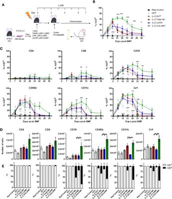 Infusion of Host-Derived Unlicensed NK Cells Improves Donor Engraftment in Non-Myeloablative Allogeneic Hematopoietic Cell Transplantation